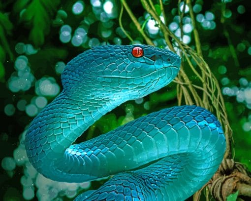 Blue Snake Viper paint by numbers