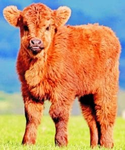 Brown Cow Calf paint by numbers