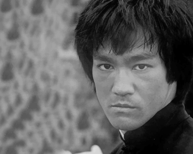 Bruce Lee Kong Fu Master paint by numbers