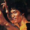 Bruce Lee The Human Dragon paint by numbers