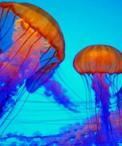 Colorful Jellyfish Paint By Numbers