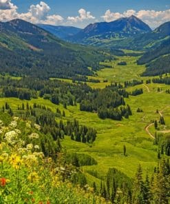 Crested Butte Colorado paint by numbers
