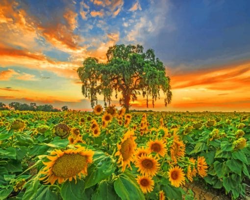 Dusk Sunflowers Paint By Numbers