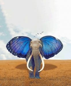 Elephant With Butterfly Ears paint by numbers