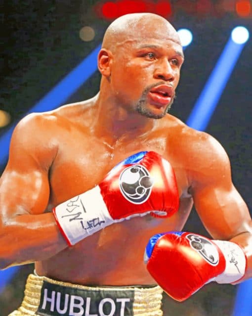 Floyd Mayweather paint by numbers