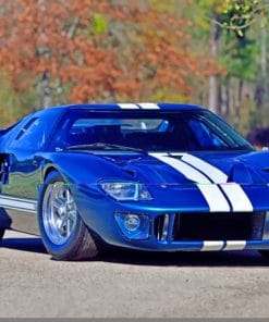Ford GT40 Race Car paint by numbers
