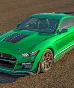 Ford Mustang Shelby GT500 paint by numbers