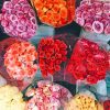Garden-Roses-