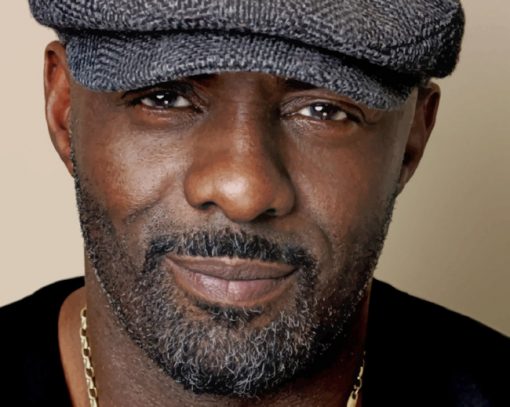 Hollywood Star Idris Elba paint by numbers