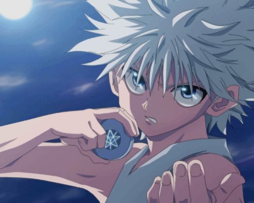 Killua Zoldyck Assassin - Animations Paint By Numbers - Num Paint Kit