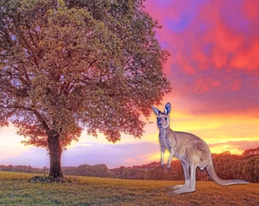 Kangaroo During Sunset Paint By Numbers