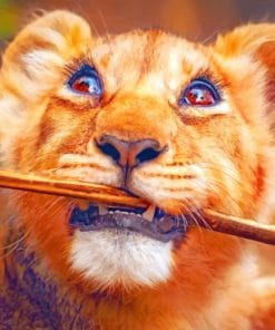 Lion Cub With Stick paint by numbers