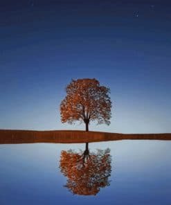 Lonely Reflected Tree Paint By Numbers