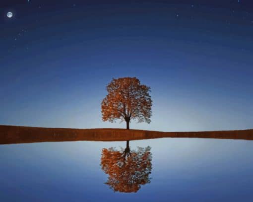 Lonely Reflected Tree Paint By Numbers