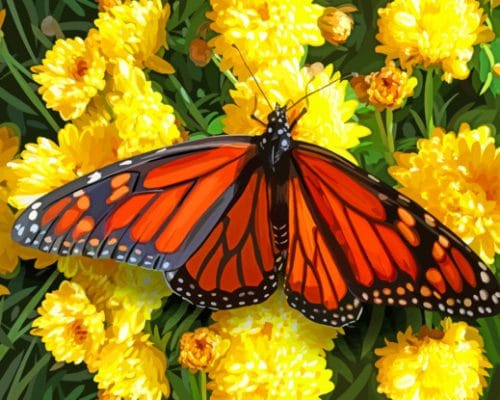 Monarch Checkered Butterfly - Insects Paint By Numbers - Num Paint Kit