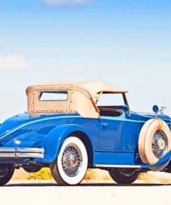 Packard Speedster Eight Boattail Roadster paint by numbers