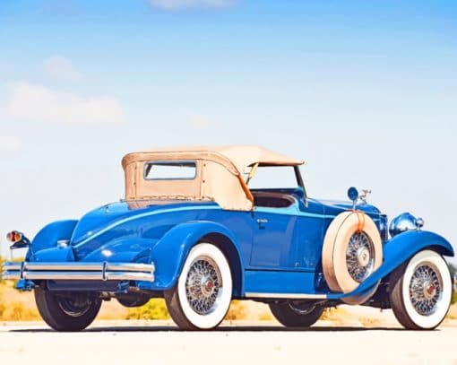 Packard Speedster Eight Boattail Roadster paint by numbers