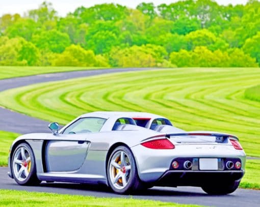 Porsche Carrera Gt Silver paint by numbers