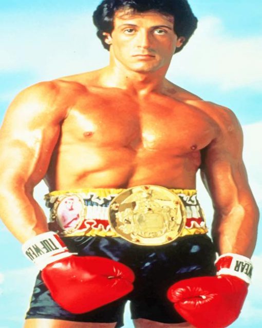 Rocky Balboa The Legend Paint By Numbers