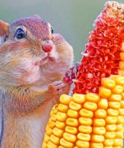 Squirrel Eating Corn paint by numbers