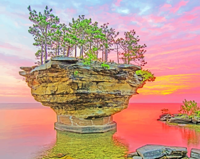 Turnip Rock In Michigan paint by numbers