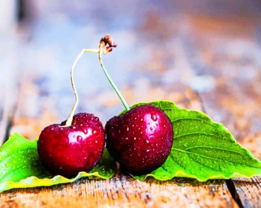 Two Cherries With Leaves paint by numbers