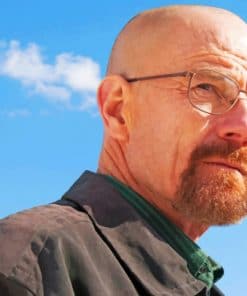 Walter White Paint By Numbers
