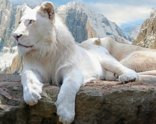 White Laying Lion Paint By Numbers