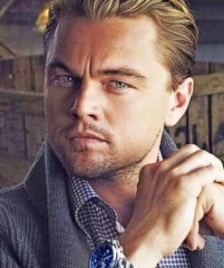 Actor Leonardo Dicaprio paint by numbers