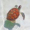 Aesthetic Sea Turtle paint by numbers