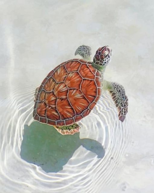Aesthetic Sea Turtle paint by numbers