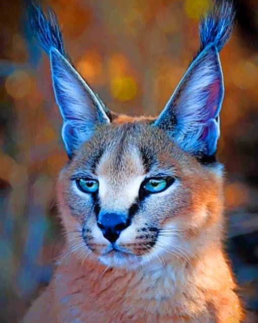 African Caracal Cat paint by numbers