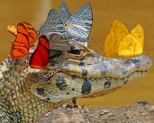 Alligator With Butterfly paint by numbers