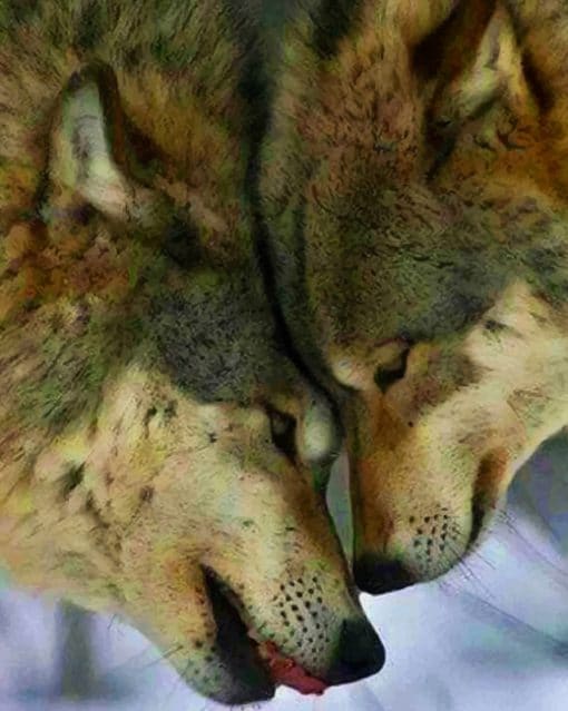 Beautiful Wolf Couple paint by numbers