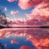 Pink Clouds Reflection paint by numbers