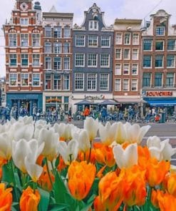 Beautiful Houses In Amsterdam And Tulips paint by numbers