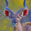 Beautiful kudu paint by numbers