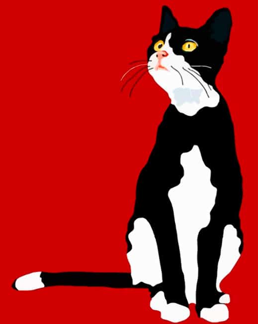 Black Cat Illustration - Animals Paint By Numbers - Num Paint Kit