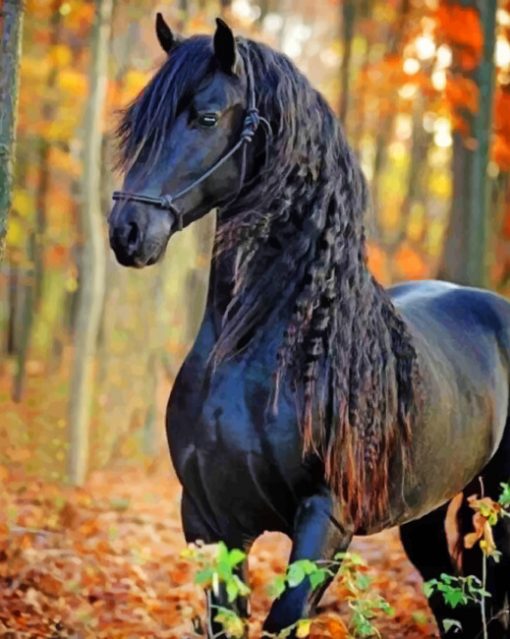 Black Horse paint by numbers