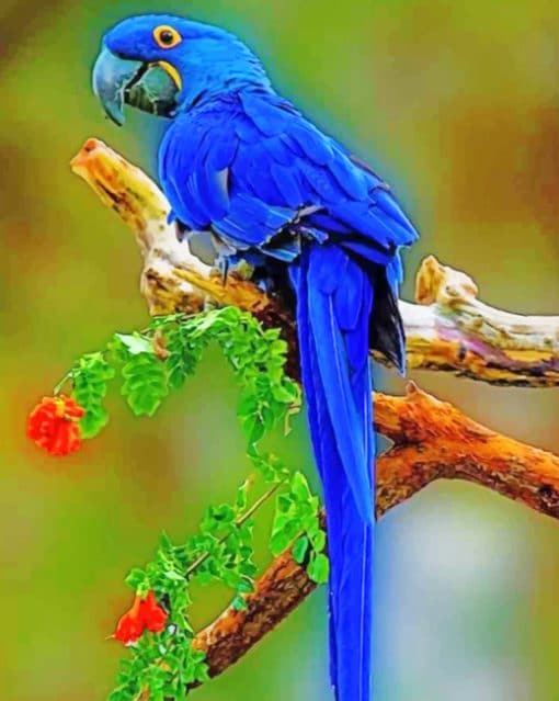 Blue Macaw paint by numbers