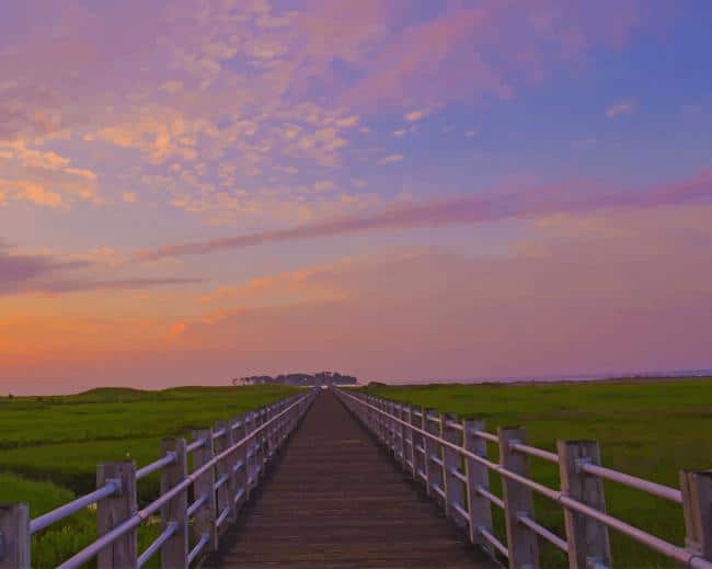 Boardwalk Through Marsh Under Bright Purple Sky paint by numbers