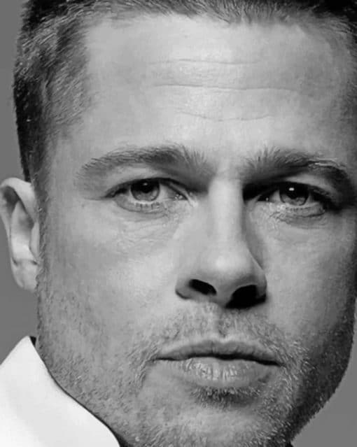 Brad Pitt Black And White paint by numbers