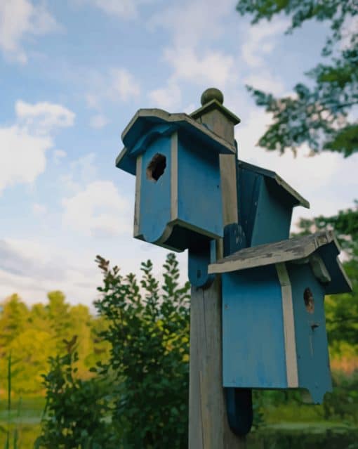 Bright Blue Bird Houses paint by numbers