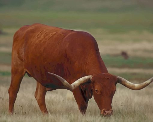 Brown Buffalo Longhorn Texas paint by numbers