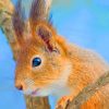 Brown Squirrel On Branch paint by numbers