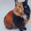 Chimera Cat paint by numbers