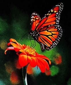 Colorful Butterfly On Flower paint by numbers