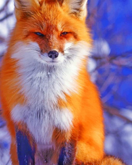Cute Orange Fox paint by numbers