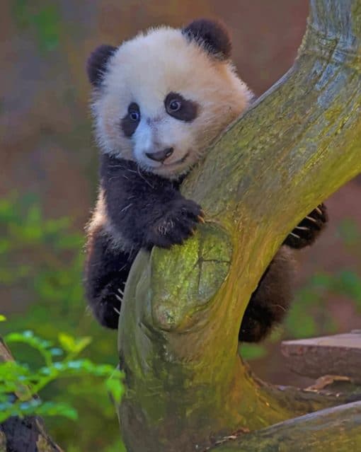 Cute Panda On Tree paint by numbers