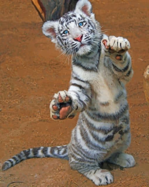 Cute White Tiger paint by numbers